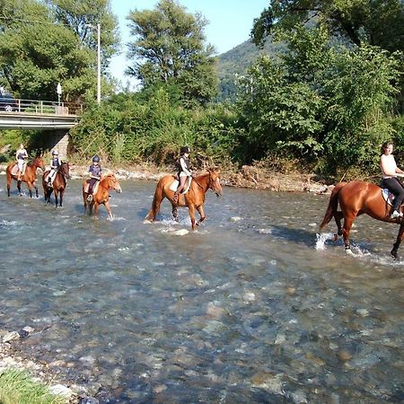 Crotto Caraco Appartamenti Bungalow Chalet Porlezza Kültér fotó