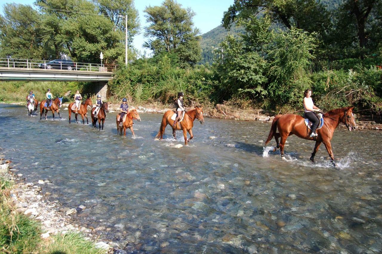 Crotto Caraco Appartamenti Bungalow Chalet Porlezza Kültér fotó